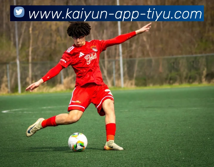 开云体育APP 高清赛事图